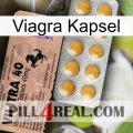 Viagra Capsule 41